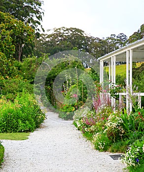 Trail in the garden near Kemp House in New Zealand photo